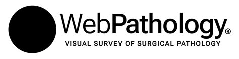 webpathology|Neuropath .